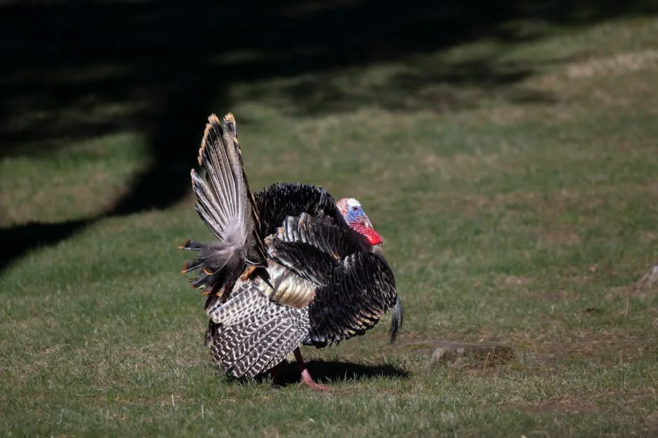 İzmir Ekonomi Üniversitesi'nde Öğretim Elemanı Alımı Başlıyor