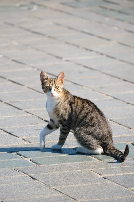 Rüyada Beyaz Renk Görmek Görmek Ne Anlama Gelir? | Rüya Tabiri